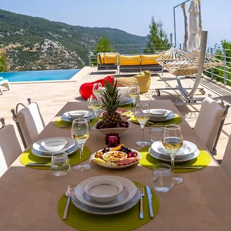 Eco Ozzy Vilă Kalkan